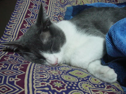 DSC03305.JPG