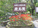 RIMG0092.JPG