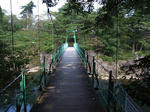 RIMG0129.JPG
