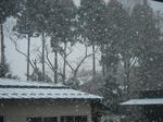DSC02145.JPG