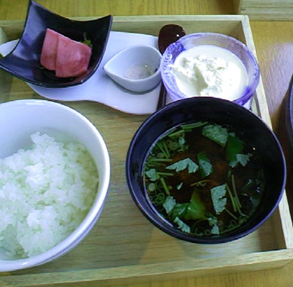ごはんとおみをつけ