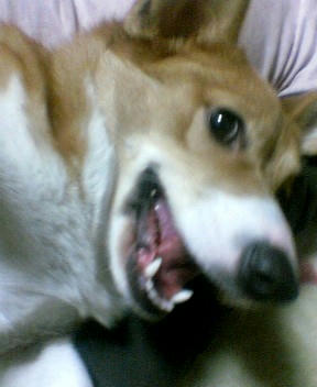 P1000008.JPG