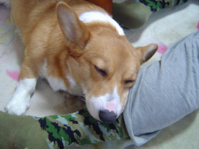 DSC03857.JPG