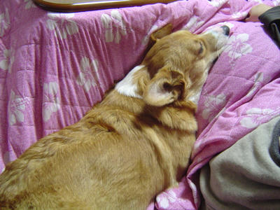 DSC04117.JPG
