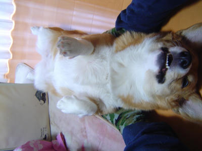 DSC04136.JPG