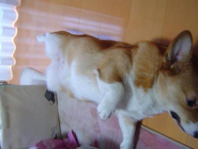 DSC04140.JPG