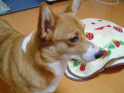 DSC04155.JPG