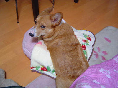 DSC04163.JPG