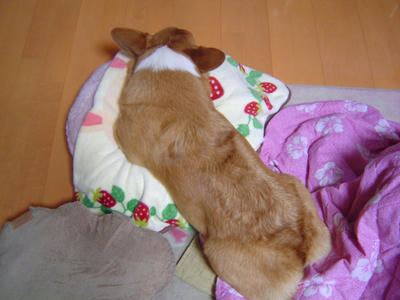 DSC04157.JPG