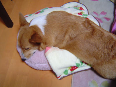 DSC04166.JPG