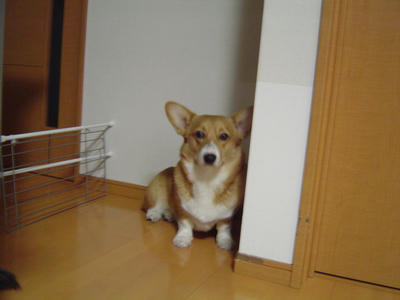 DSC04260.JPG