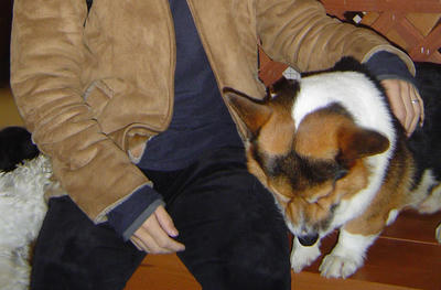 DSC00491-2.jpg