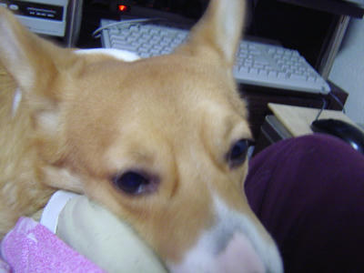 DSC04410.JPG