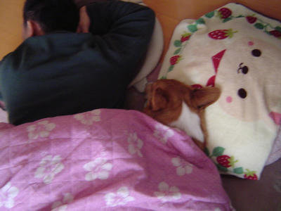 DSC04336.JPG