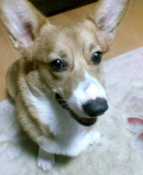 P1000009.JPG