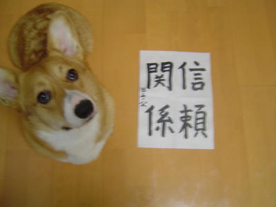 DSC04799.JPG