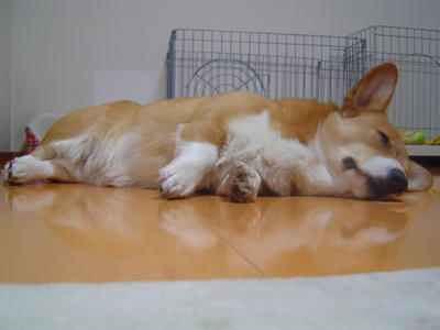 DSC04809.JPG
