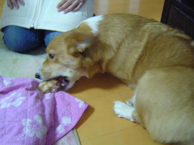DSC04749.JPG