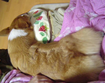 DSC04900-2.jpg