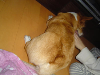 DSC05473.JPG