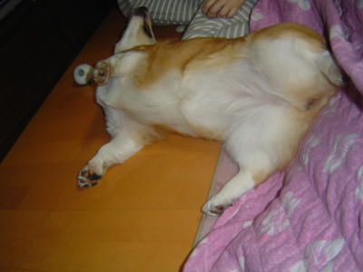 DSC05474.JPG