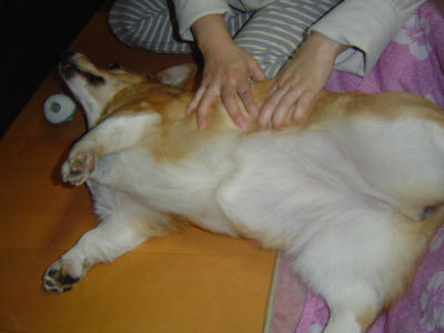 DSC05475.JPG