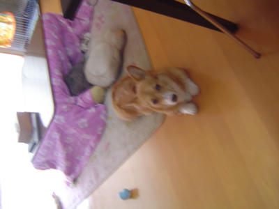 DSC05663.JPG