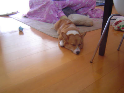 DSC05665.JPG
