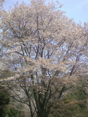 DSC00031.JPG