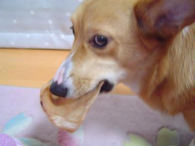 DSC05866.JPG