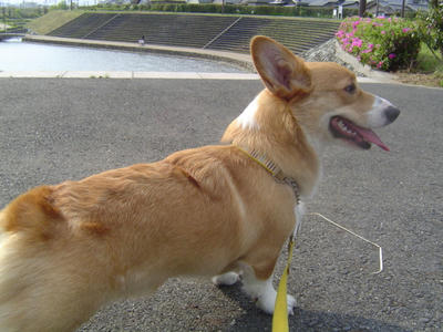 DSC05983.JPG