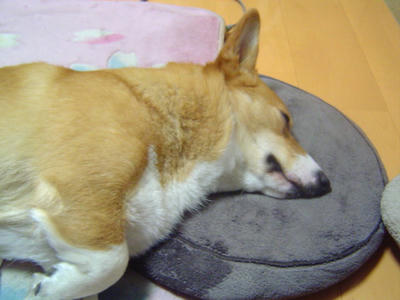 DSC06178.JPG