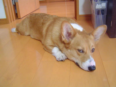 DSC06302.JPG