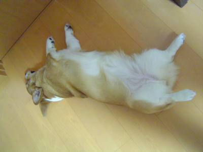 DSC06304.JPG