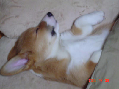 DSC02636-2.jpg