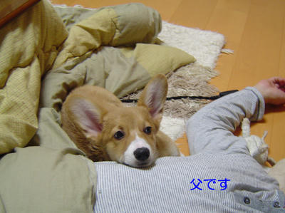DSC02649-2.jpg