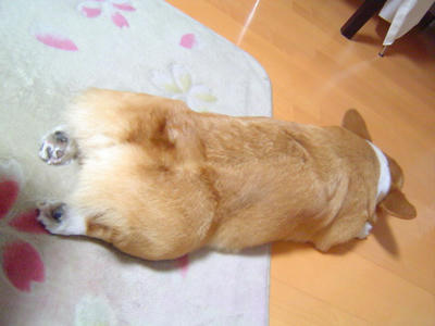 DSC06516.JPG