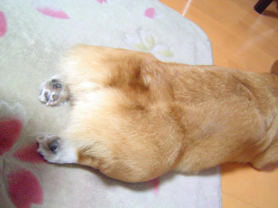 DSC06515.JPG