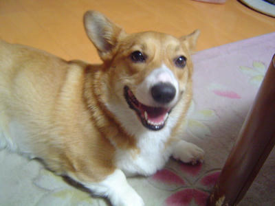 DSC06636.JPG
