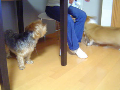 DSC06894.JPG
