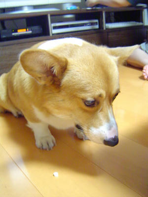 DSC06947.JPG