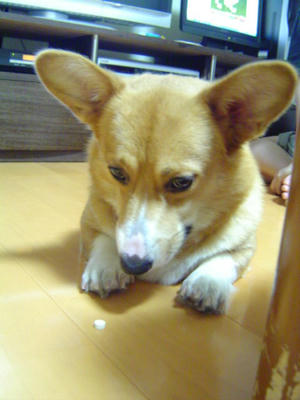 DSC06943.JPG