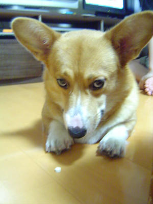 DSC06944.JPG