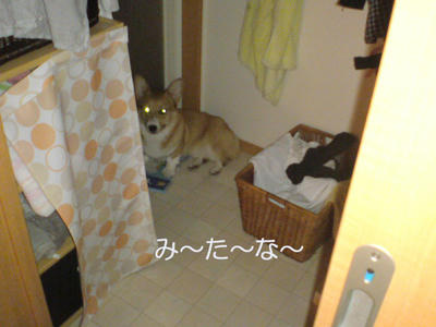 DSC00451-2.jpg