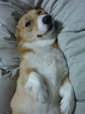 DSC00017.JPG