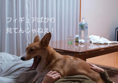 0812060011.jpg