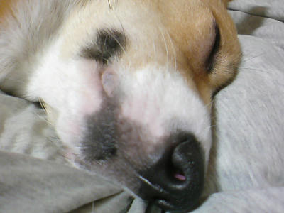 DSC00014.JPG
