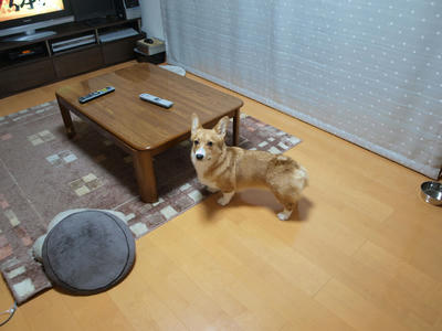 090228006.jpg
