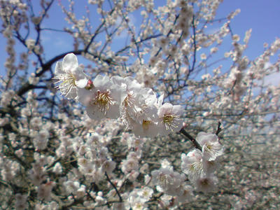 090315002.jpg