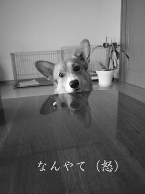090426004-3.jpg